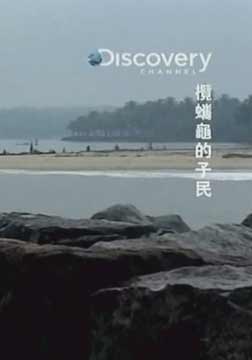 (Discovery)P