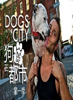 狗在都市海报