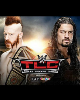 WWE TLC δ2015