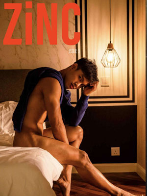 Zinc Vol.3