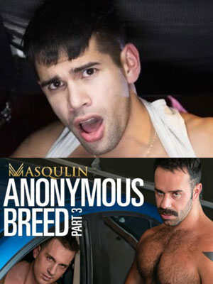 Masqulin C Anonymous Breed
