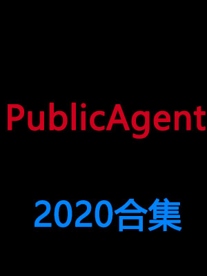 PublicAgent 2020ϼ